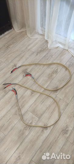 Акустический кабель Exposure