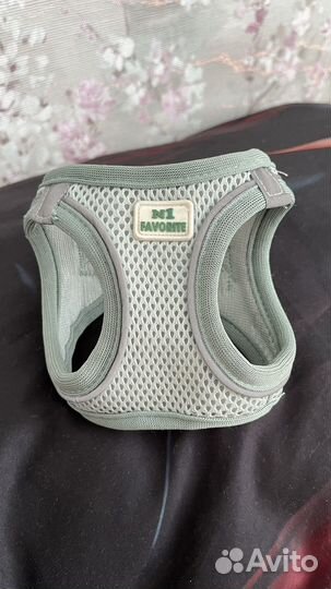 Одежда для собак мелких пород