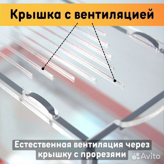 Муравьиная ферма 