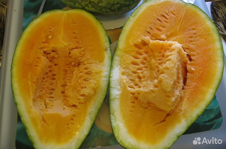 Семена Арбузов +(Подвои для арбузов)