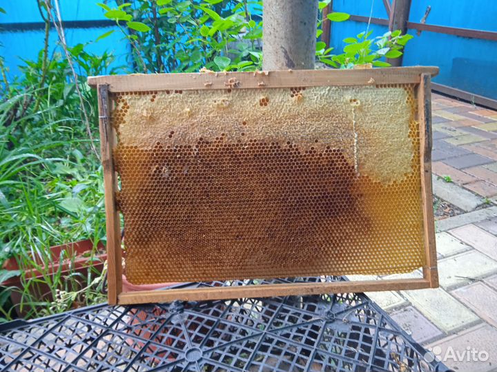 Ульи бу дадан