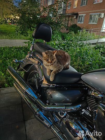 Британка на улице