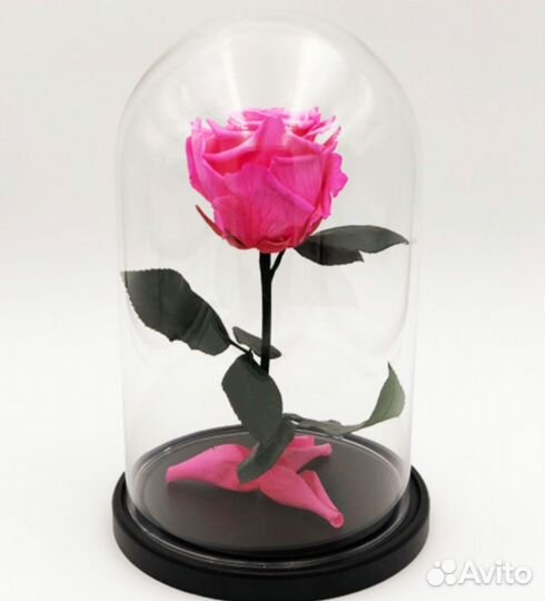 Роза в колбе
