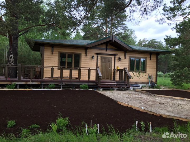 Семена газонной травы