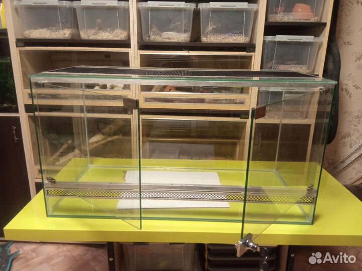 Террариумы на заказ