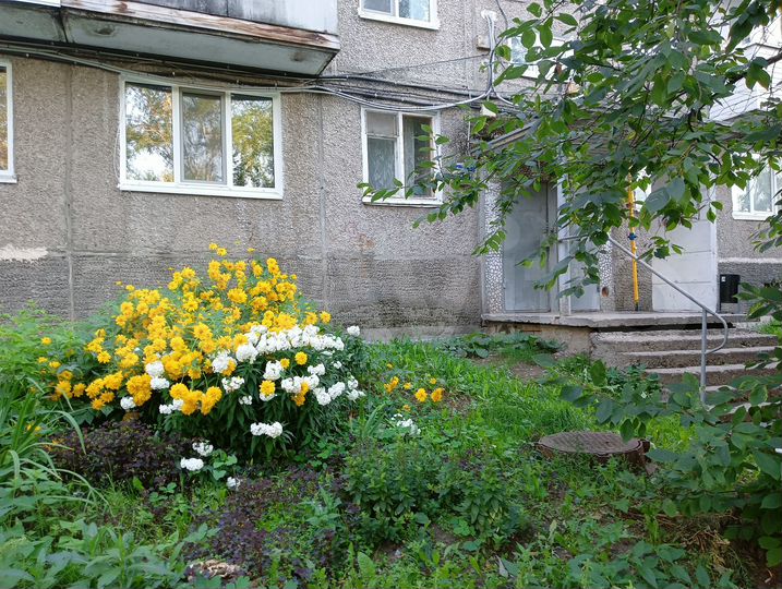 Комната 17,5 м² в 3-к., 1/5 эт.