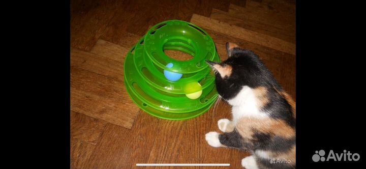 Игрушка для кошек