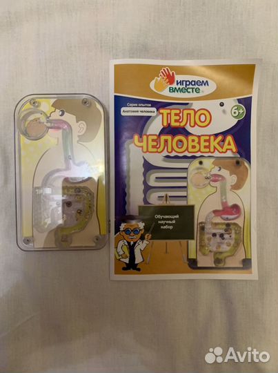 Игра тело человека. Путишествие пищи по организму