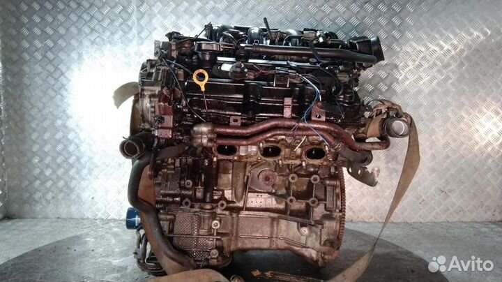 Двигатель VQ35DE Nissan Murano (2002-2008)