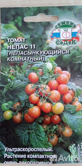 Рассада помидор черри