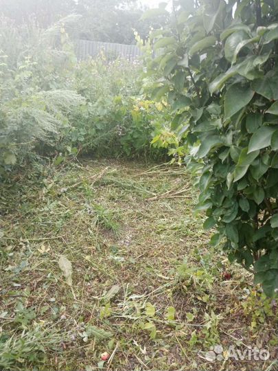 Покос травы
