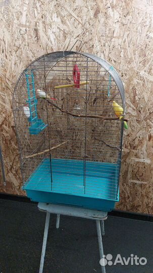Клетка для попугая бу