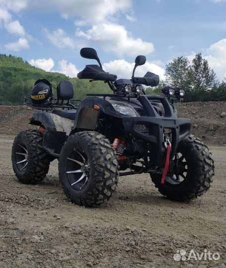 Grizzly