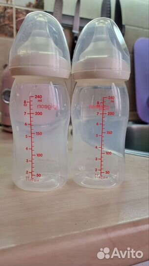 Бутылочки для кормления pigeon 240