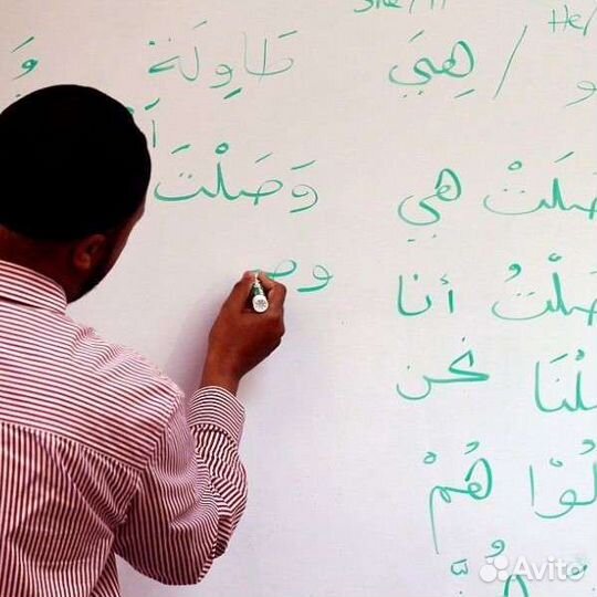 Арабский язык переводчик, обучение Корану