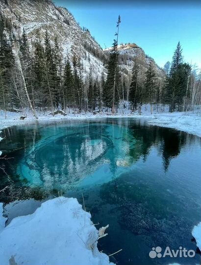 На Алтай зимний путевка экспедиция от 5 до 9 дн