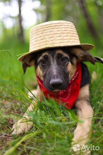 Спасите меня из приюта