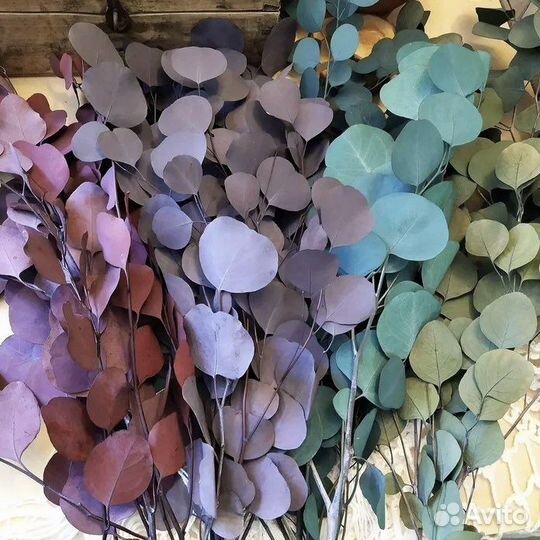 Цветы для творчества. Стабилизированные цветы