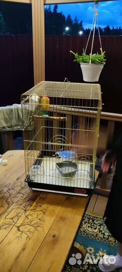 Клетка для попугая. торг уместен