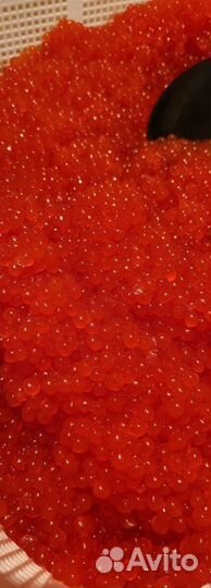 Красная икра