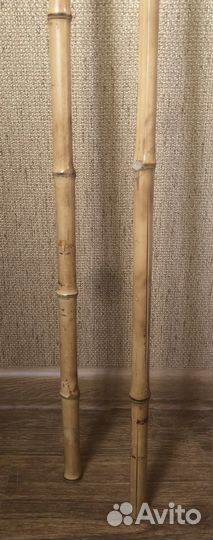 Бамбуковая палка