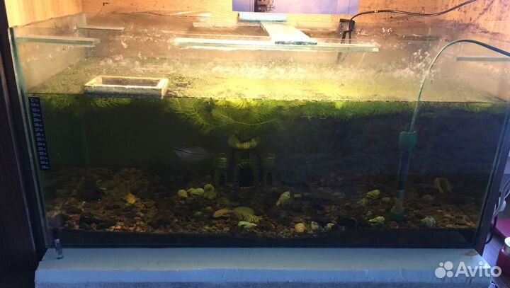 Аквариум