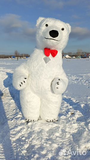 Поздравления Белый Мишка Ростовые куклы Аниматор