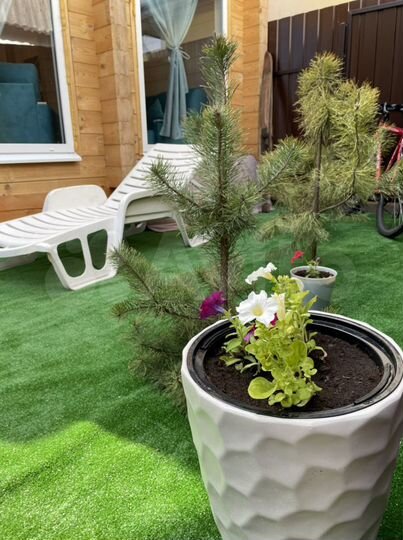 Дом 50 м² на участке 3 сот.