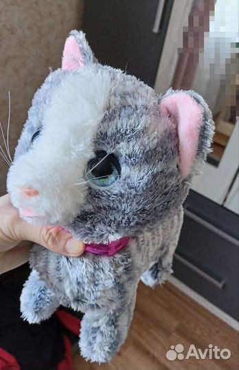 Интерактивный котенок