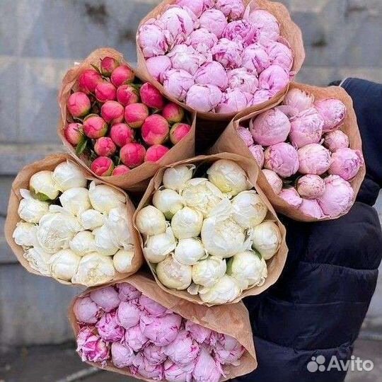 Крупные пионы,букеты цветов пионов, доставка