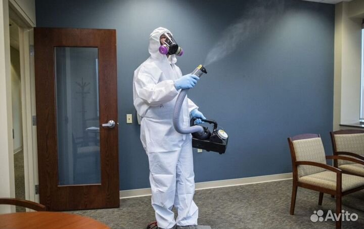 Средство для Уничтожения клопов тараканов плесени клещей