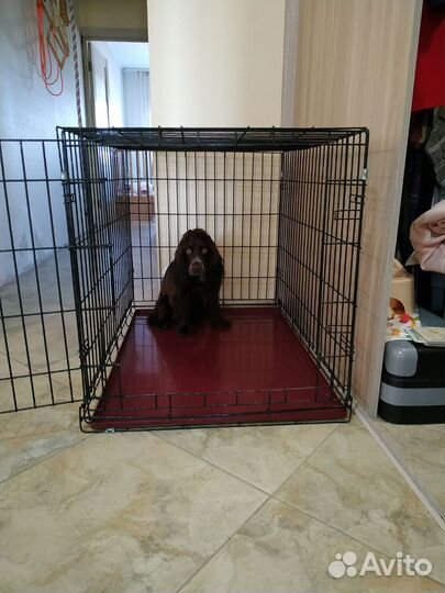 Вольер (клетка для собаки)