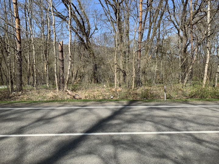 Участок 73 сот. (СНТ, ДНП)