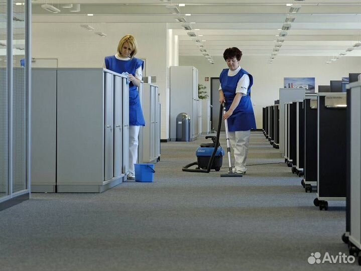 Профессиональный клининг помещений