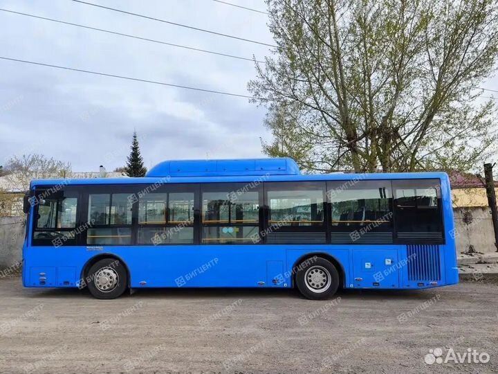 Городской автобус Zhong Tong LCK6105HGC, 2024