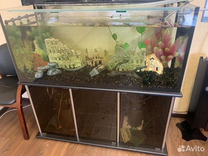 Аквариум
