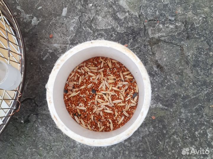 Клетка для папугаев