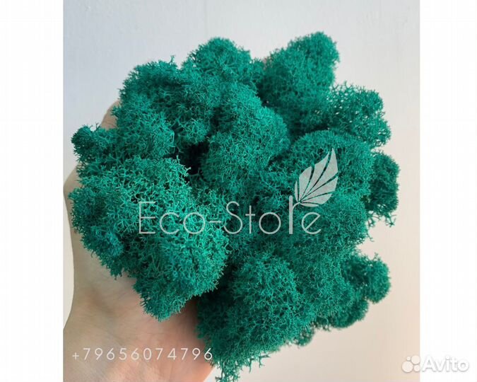 Стабилизированный мох