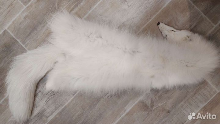 Шкура песца