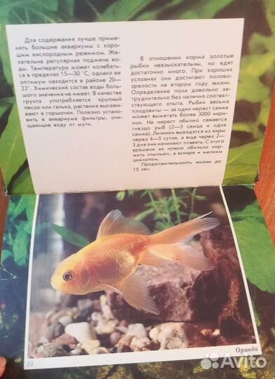 Открытки и справочники для аквариумистов