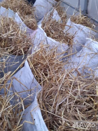 Солома в мешках для подстилки. Свежий урожай
