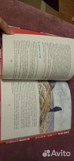 Книга Навстречу белому медведю