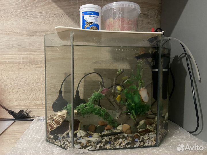 Аквариум с рыбками, возможен обмен на велосипед