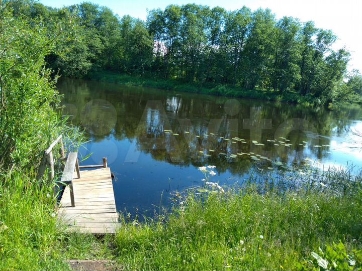 Участок 44,5 сот. (ИЖС)