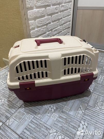 Переноска аренда