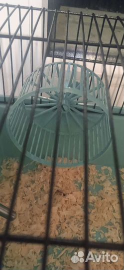 Колесо для Джунгарского хомяка