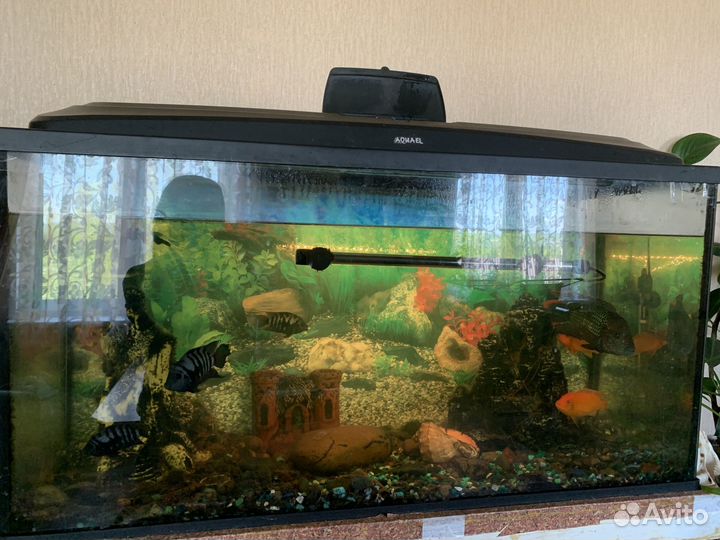 Аквариум с тумбой 260 литров