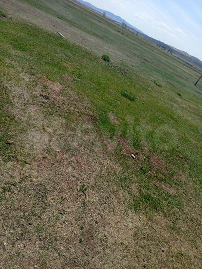 Участок 25 сот. (ИЖС)