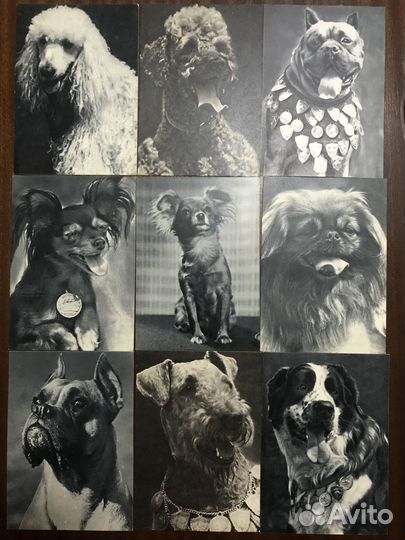 Открытки СССР