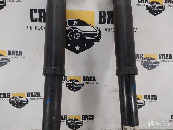 Амортизаторы задние (комплект) R\L